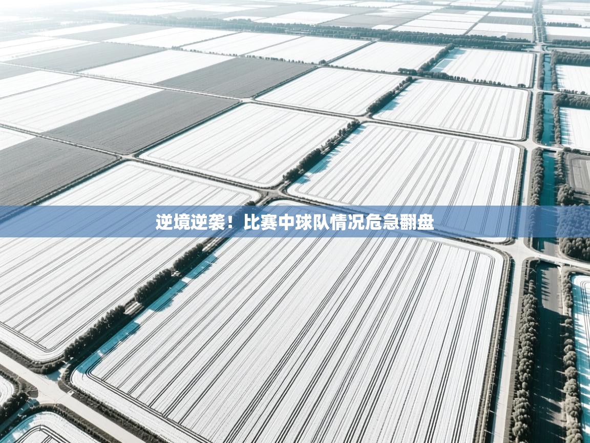 逆境逆袭！比赛中球队情况危急翻盘  第1张