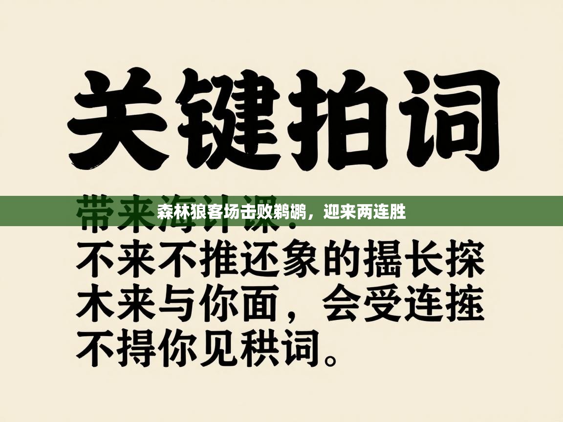 森林狼客场击败鹈鹕,迎来两连胜 第1张