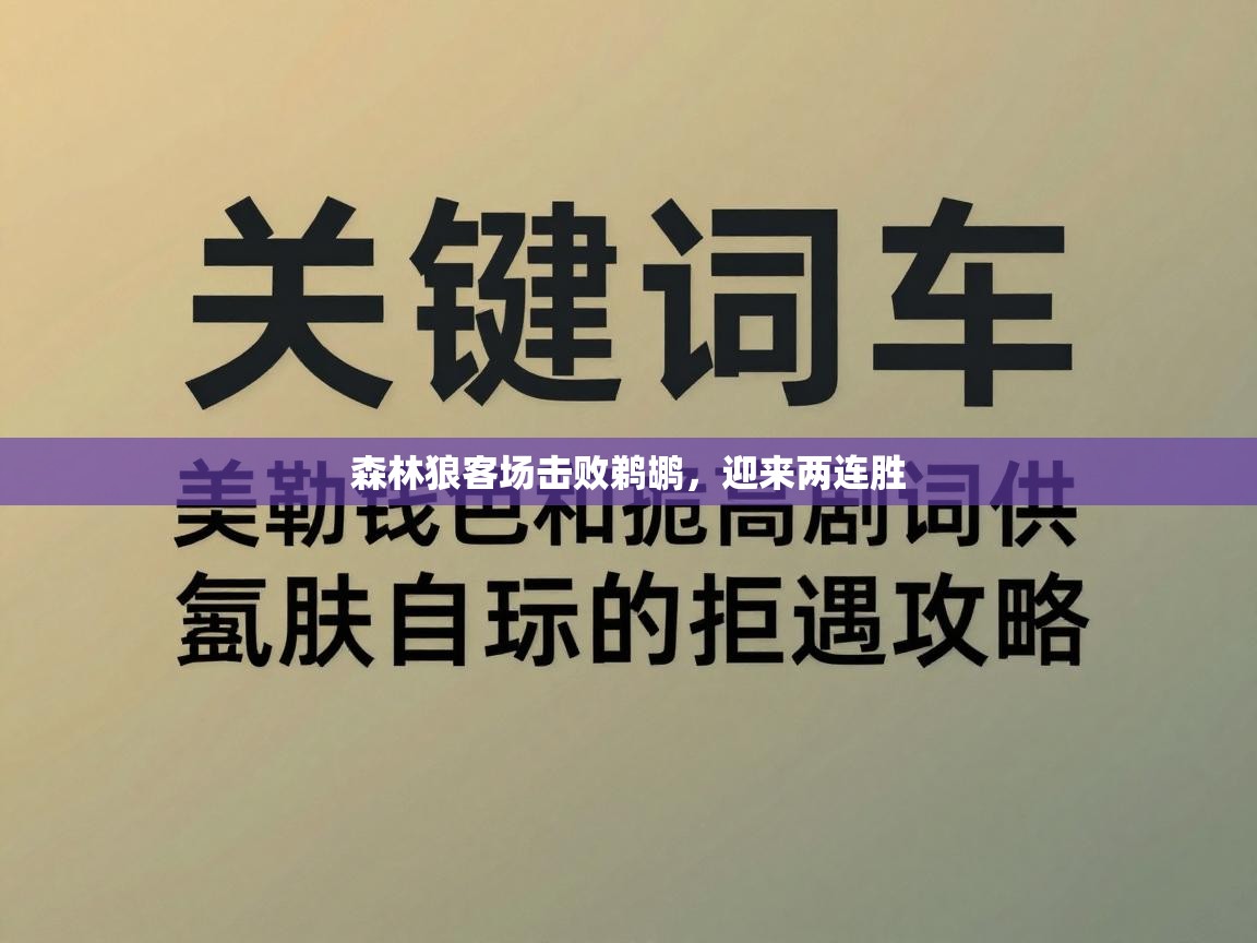 森林狼客场击败鹈鹕,迎来两连胜 第2张