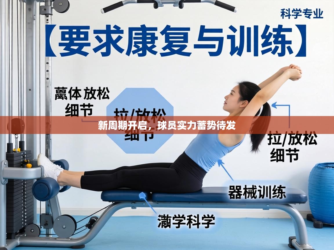 新周期开启,球员实力蓄势待发 第1张
