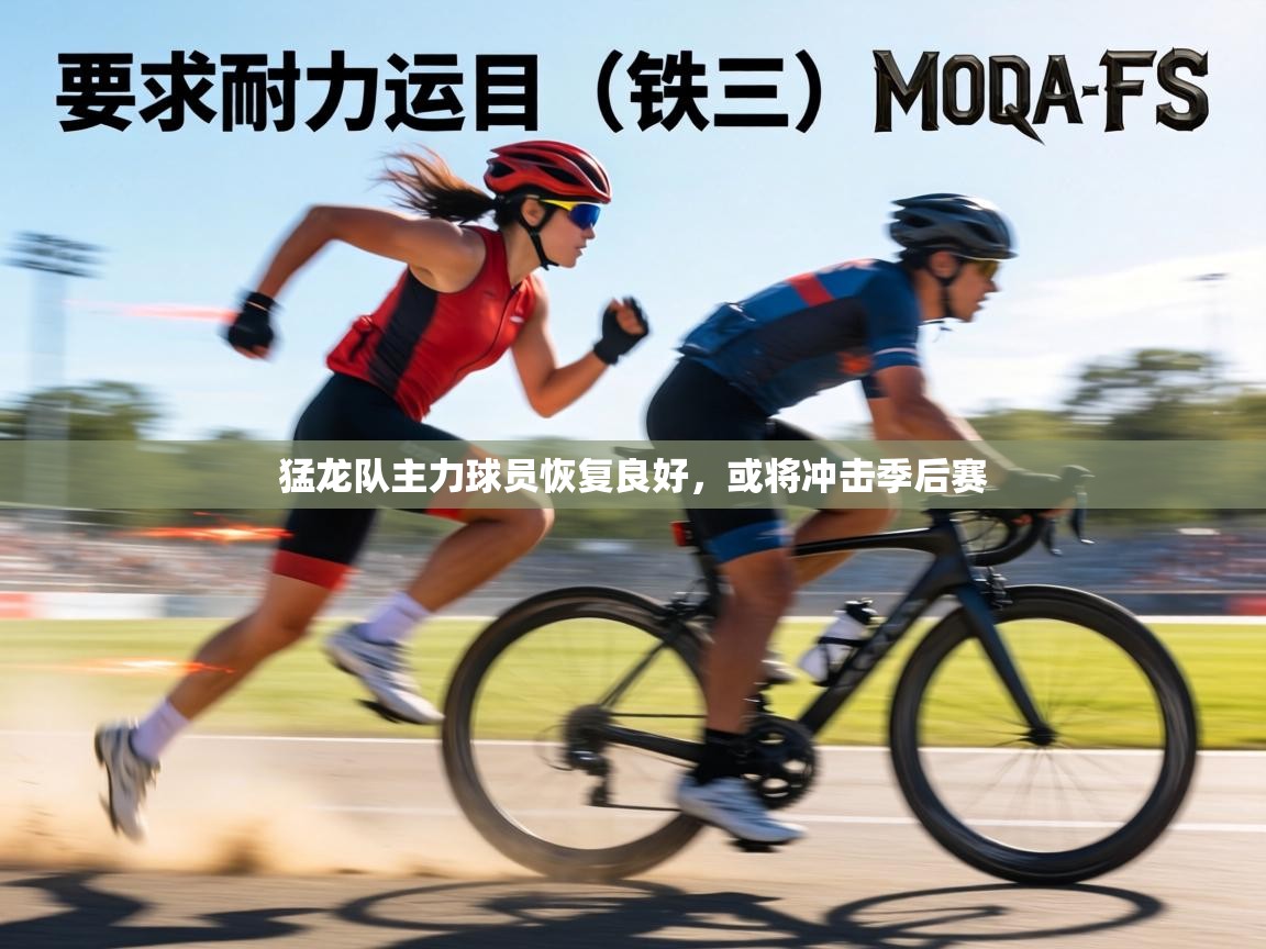 猛龙队主力球员恢复良好,或将冲击季后赛 第2张